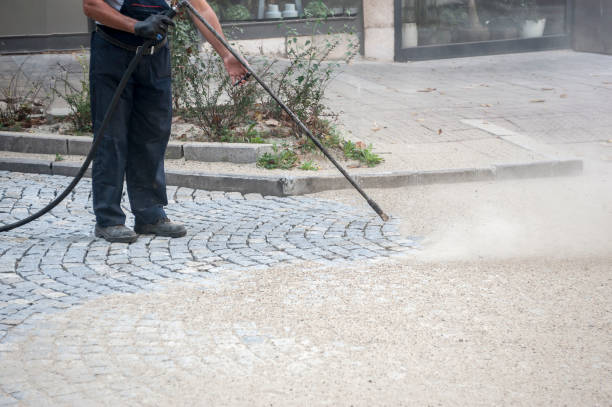 Best Roof Washing  in Heritage Lake, IL